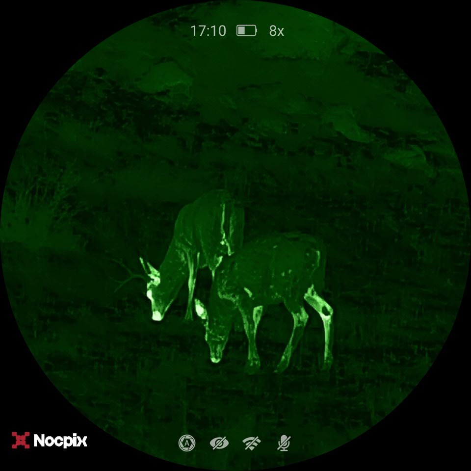Mule Deer Thermal Image